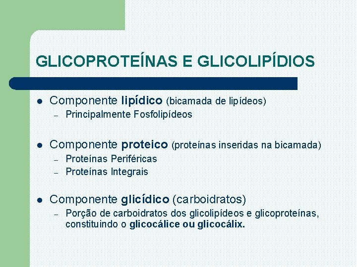 GLICOPROTEÍNAS E GLICOLIPÍDIOS l Componente lipídico (bicamada de lipídeos) – l Componente proteico (proteínas