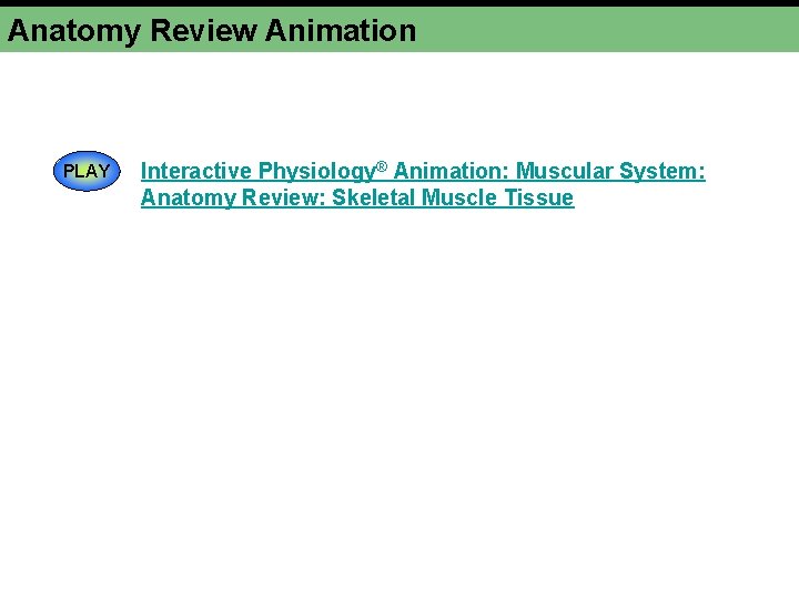 Anatomy Review Animation PLAY Interactive Physiology® Animation: Muscular System: Anatomy Review: Skeletal Muscle Tissue