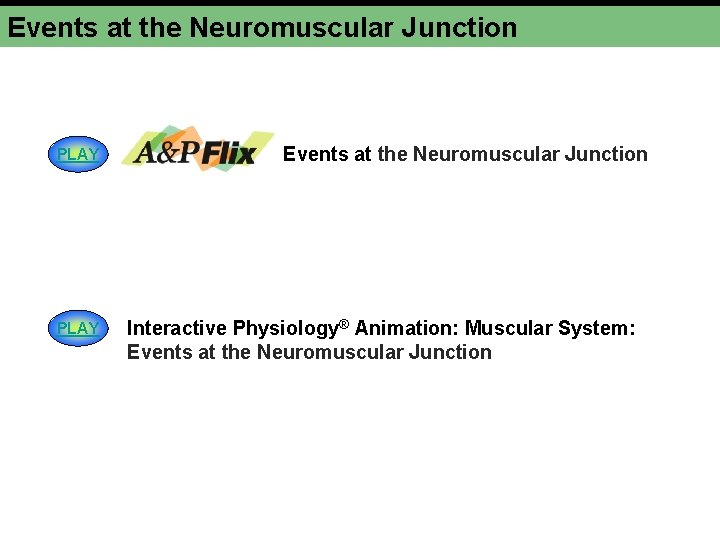 Events at the Neuromuscular Junction PLAY Events at the Neuromuscular Junction Interactive Physiology® Animation: