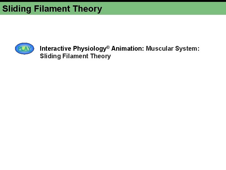 Sliding Filament Theory PLAY Interactive Physiology® Animation: Muscular System: Sliding Filament Theory 