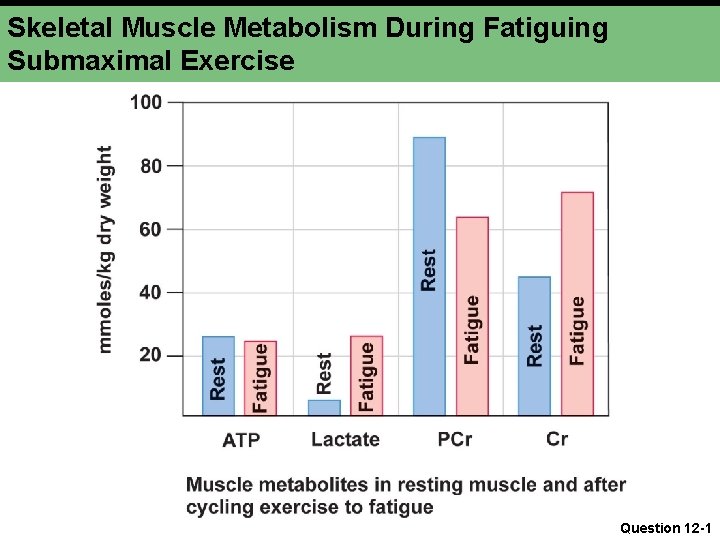 Skeletal Muscle Metabolism During Fatiguing Submaximal Exercise Question 12 -1 