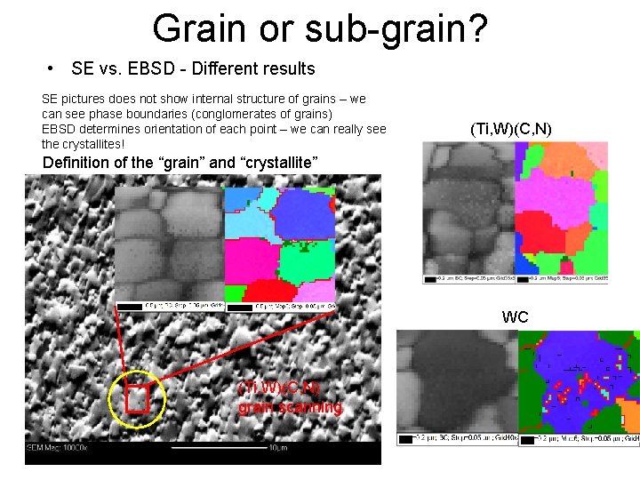 Grain or sub-grain? • SE vs. EBSD - Different results SE pictures does not