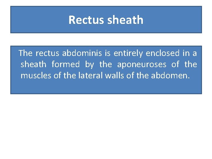Rectus sheath The rectus abdominis is entirely enclosed in a sheath formed by the