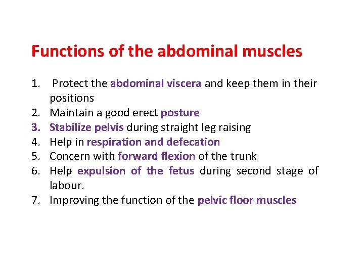 Functions of the abdominal muscles 1. Protect the abdominal viscera and keep them in