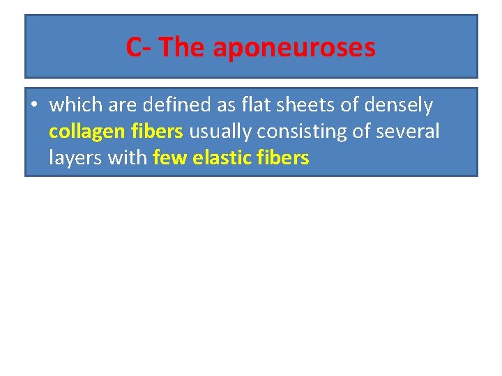 C- The aponeuroses • which are defined as flat sheets of densely collagen fibers