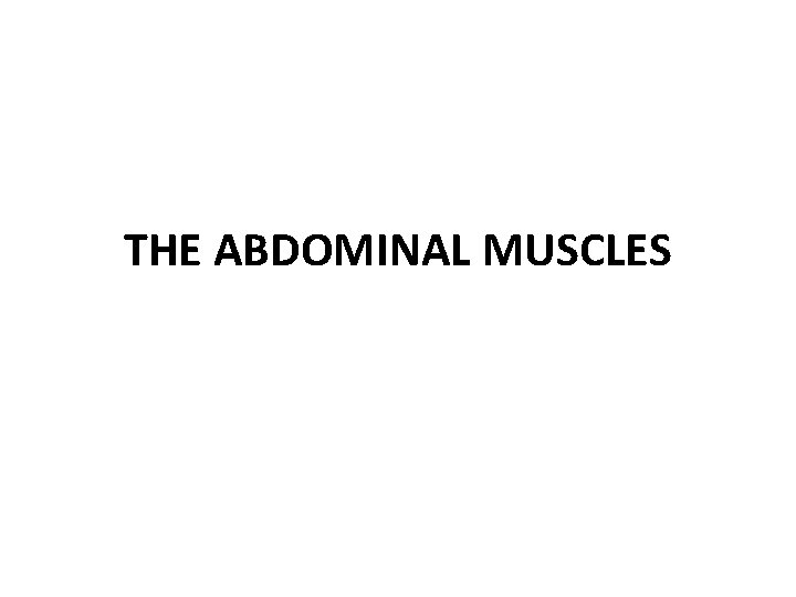 THE ABDOMINAL MUSCLES 