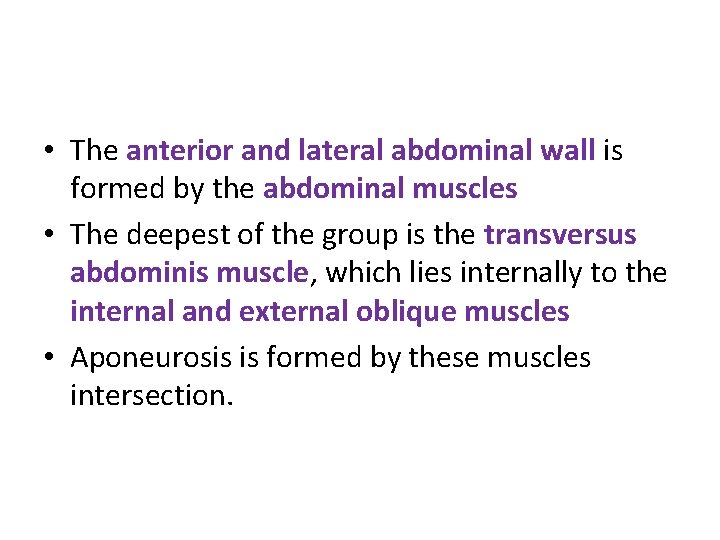  • The anterior and lateral abdominal wall is formed by the abdominal muscles