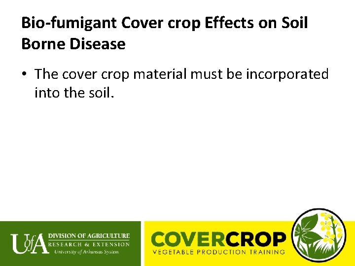 Bio-fumigant Cover crop Effects on Soil Borne Disease • The cover crop material must