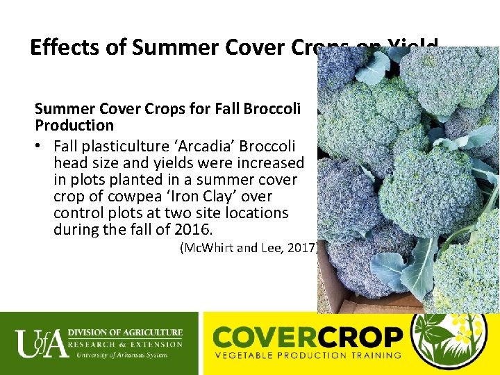 Effects of Summer Cover Crops on Yield Summer Cover Crops for Fall Broccoli Production