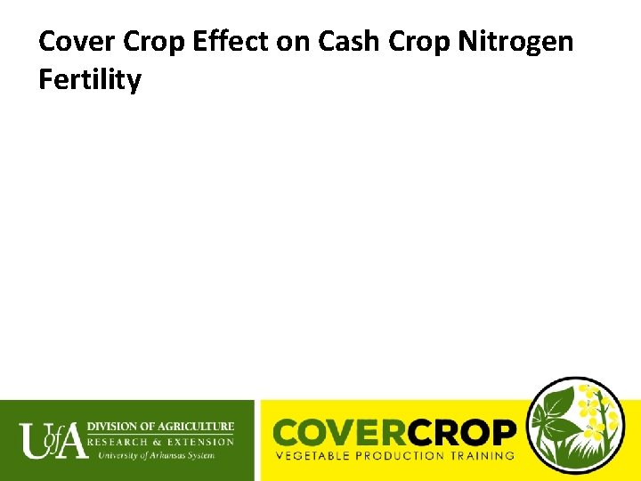 Cover Crop Effect on Cash Crop Nitrogen Fertility 