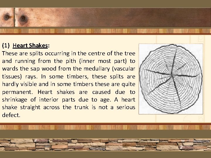 (1) Heart Shakes: These are splits occurring in the centre of the tree and