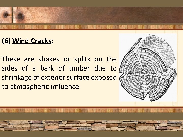 (6) Wind Cracks: These are shakes or splits on the sides of a bark