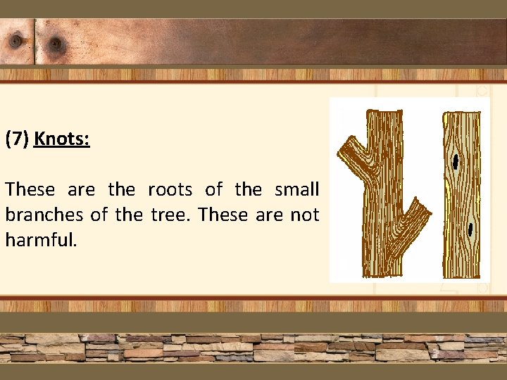 (7) Knots: These are the roots of the small branches of the tree. These