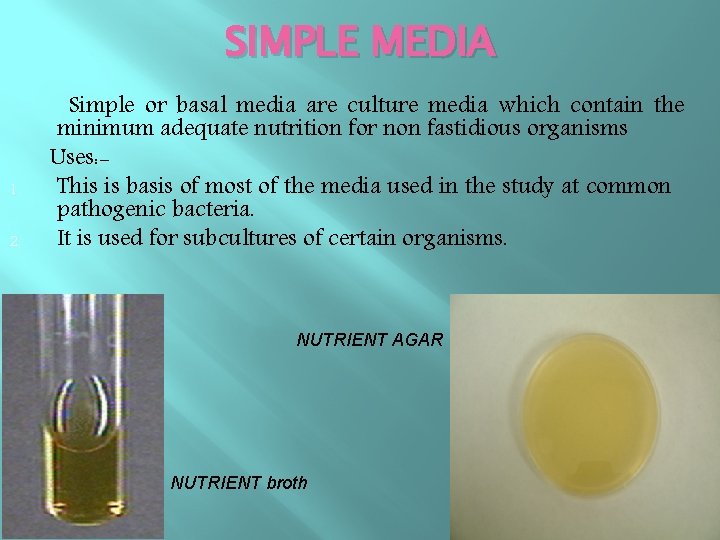 SIMPLE MEDIA 1. 2. Simple or basal media are culture media which contain the