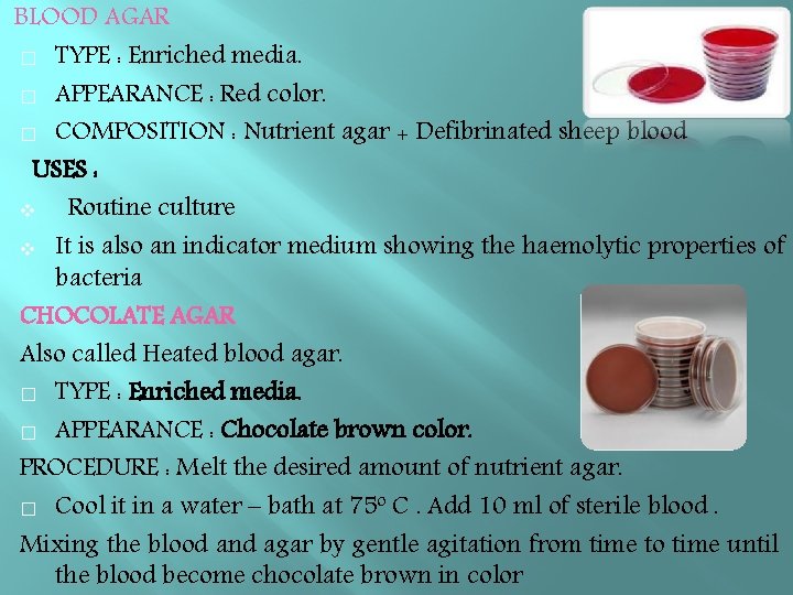 BLOOD AGAR � TYPE : Enriched media. � APPEARANCE : Red color. � COMPOSITION