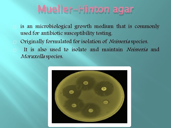 Mueller-Hinton agar � � � is an microbiological growth medium that is commonly used