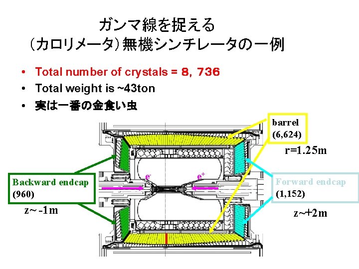 ガンマ線を捉える （カロリメータ）無機シンチレータの一例 • Total number of crystals = ８，７３６ • Total weight is ~43