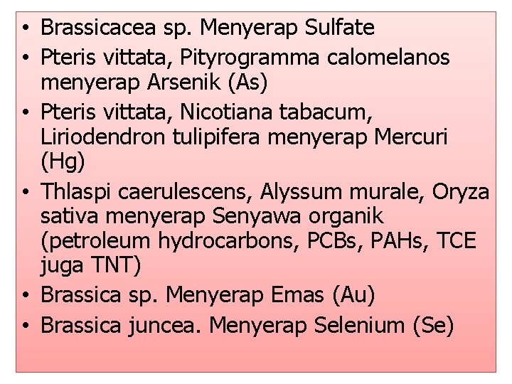  • Brassicacea sp. Menyerap Sulfate • Pteris vittata, Pityrogramma calomelanos menyerap Arsenik (As)