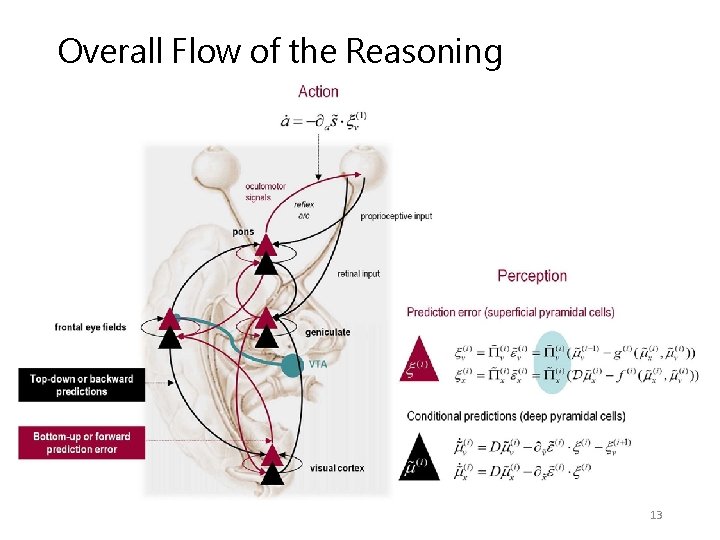 Overall Flow of the Reasoning 13 