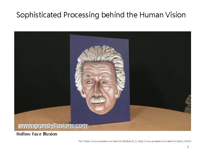 Sophisticated Processing behind the Human Vision Hollow Face Illusion *Ref: https: //www. youtube. com/watch?