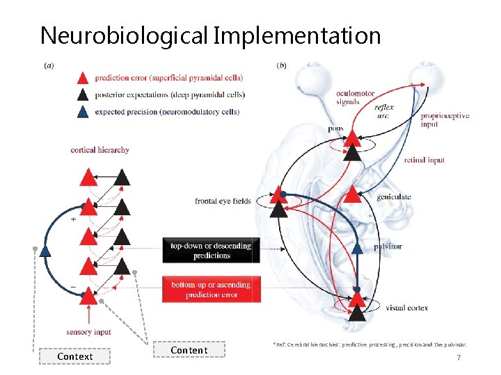 Neurobiological Implementation Context Content *Ref: Cerebral hierarchies: predictive processing, precision and the pulvinar. 7