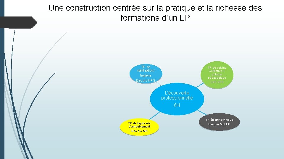 Une construction centrée sur la pratique et la richesse des formations d’un LP TP