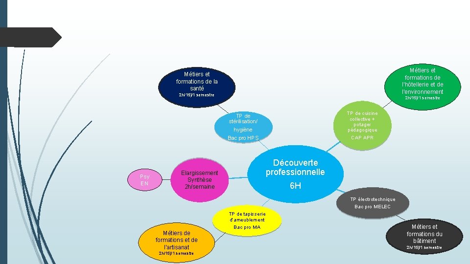 Métiers et formations de l’hôtellerie et de l’environnement Métiers et formations de la santé