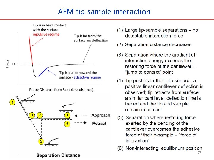 AFM tip-sample interaction 27 