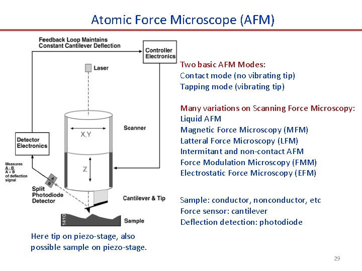 Atomic Force Microscope (AFM) Two basic AFM Modes: Contact mode (no vibrating tip) Tapping