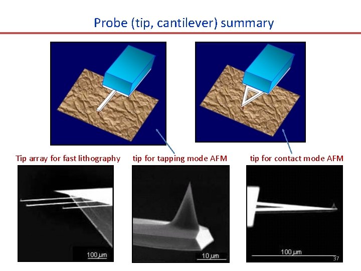 Probe (tip, cantilever) summary Tip array for fast lithography tip for tapping mode AFM