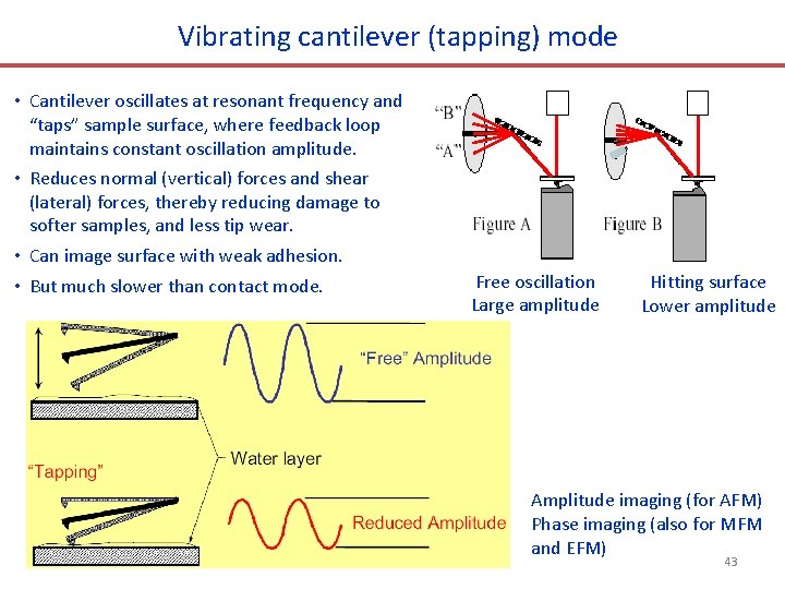 Vibrating cantilever (tapping) mode • Cantilever oscillates at resonant frequency and “taps” sample surface,