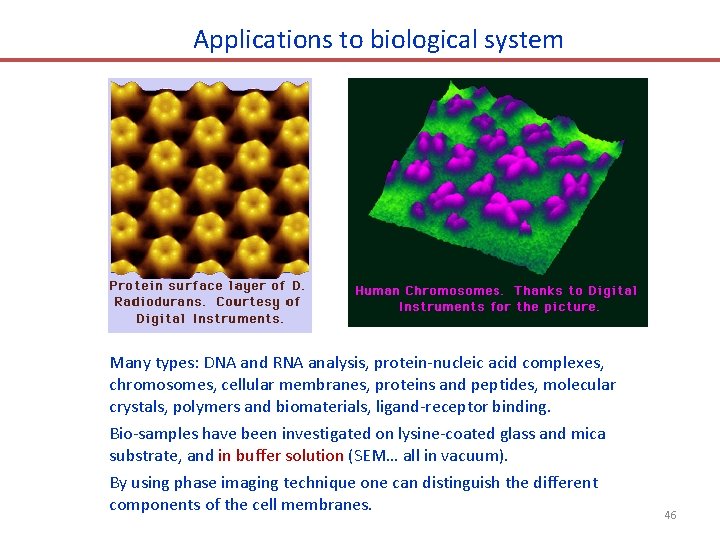 Applications to biological system Many types: DNA and RNA analysis, protein-nucleic acid complexes, chromosomes,