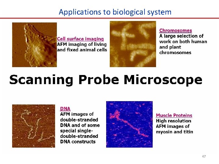 Applications to biological system 47 