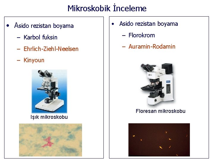 Mikroskobik İnceleme • Asido rezistan boyama – Karbol fuksin – Florokrom – Ehrlich-Ziehl-Neelsen –