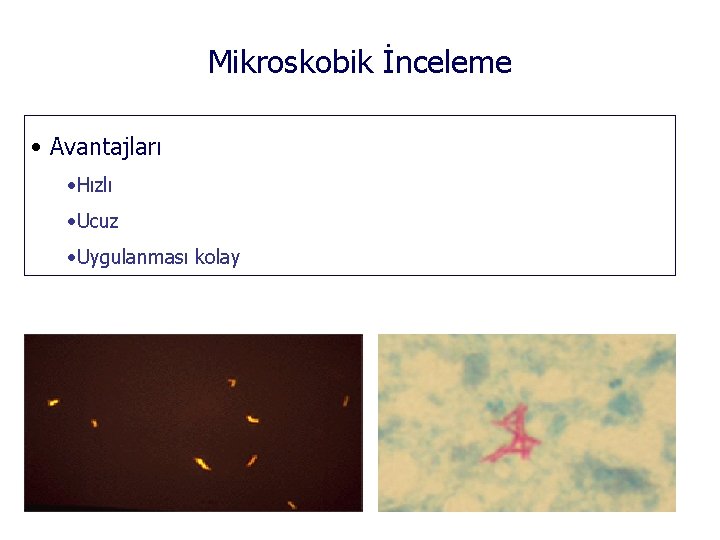 Mikroskobik İnceleme • Avantajları • Hızlı • Ucuz • Uygulanması kolay 