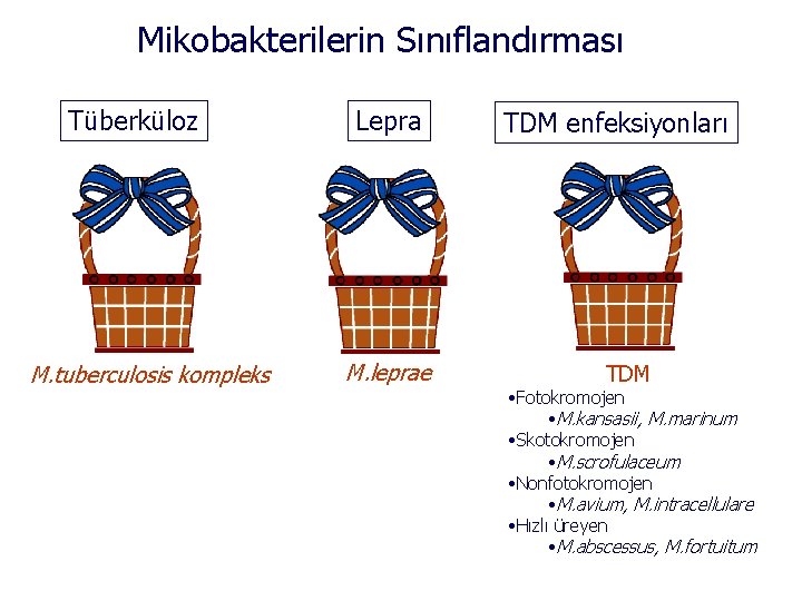 Mikobakterilerin Sınıflandırması Tüberküloz M. tuberculosis kompleks Lepra M. leprae TDM enfeksiyonları TDM • Fotokromojen