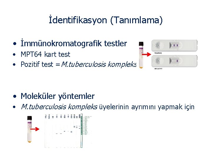 İdentifikasyon (Tanımlama) • İmmünokromatografik testler • MPT 64 kart test • Pozitif test =M.