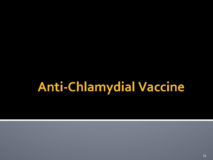 Anti-Chlamydial Vaccine 11 