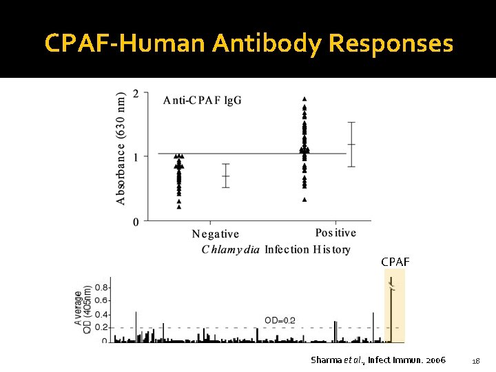 CPAF-Human Antibody Responses CPAF Sharma et al. , Infect Immun. 2006 18 
