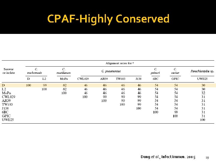 CPAF-Highly Conserved Dong et al. , Infect Immun. 2005 19 