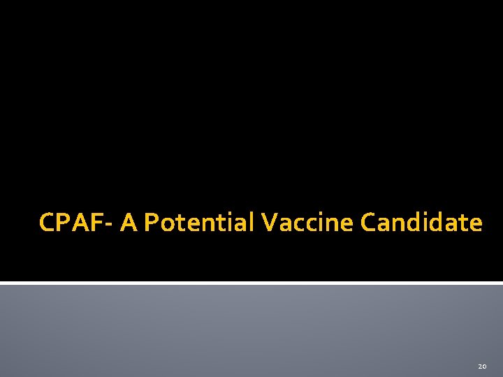 CPAF- A Potential Vaccine Candidate 20 