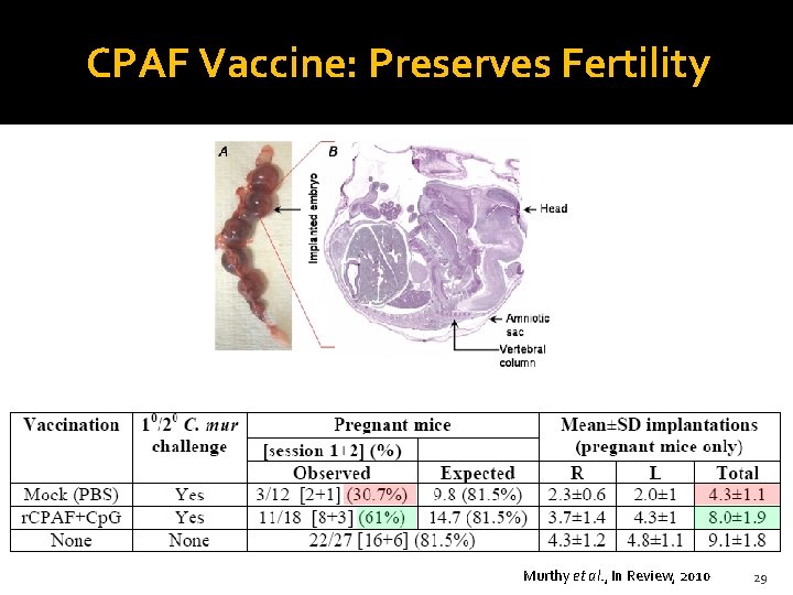 CPAF Vaccine: Preserves Fertility Murthy et al. , In Review, 2010 29 