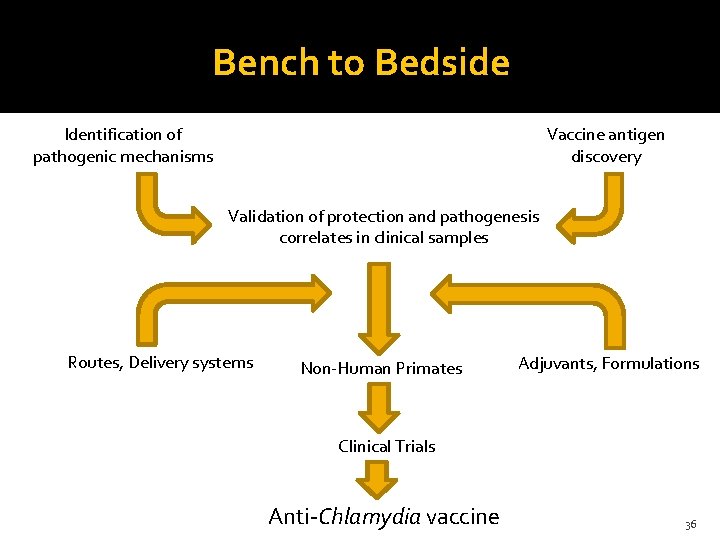 Bench to Bedside Identification of pathogenic mechanisms Vaccine antigen discovery Validation of protection and