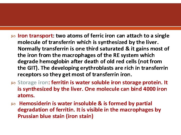  Iron transport: two atoms of ferric iron can attach to a single molecule