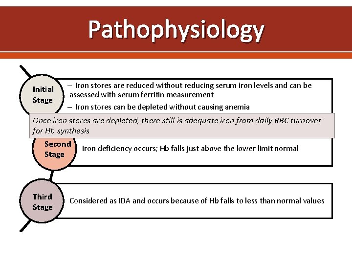 Pathophysiology Initial Stage Iron stores are reduced without reducing serum iron levels and can