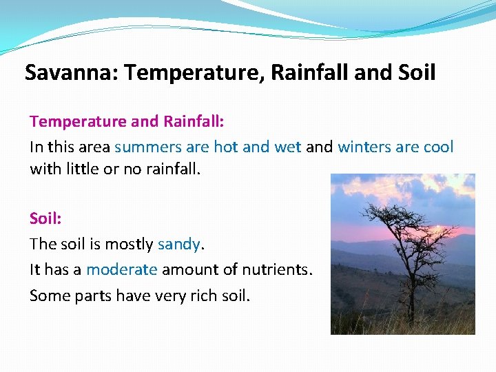 Savanna: Temperature, Rainfall and Soil Temperature and Rainfall: In this area summers are hot