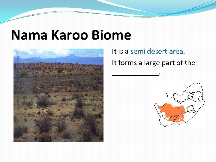 Nama Karoo Biome It is a semi desert area. It forms a large part