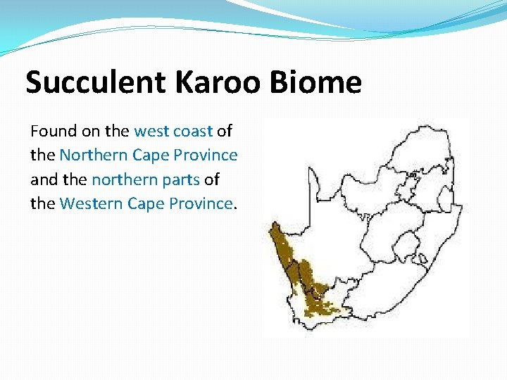 Succulent Karoo Biome Found on the west coast of the Northern Cape Province and