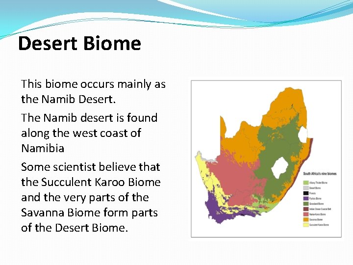 Desert Biome This biome occurs mainly as the Namib Desert. The Namib desert is