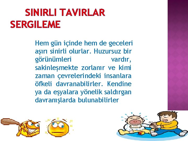 SINIRLI TAVIRLAR SERGILEME Hem gün içinde hem de geceleri aşırı sinirli olurlar. Huzursuz bir